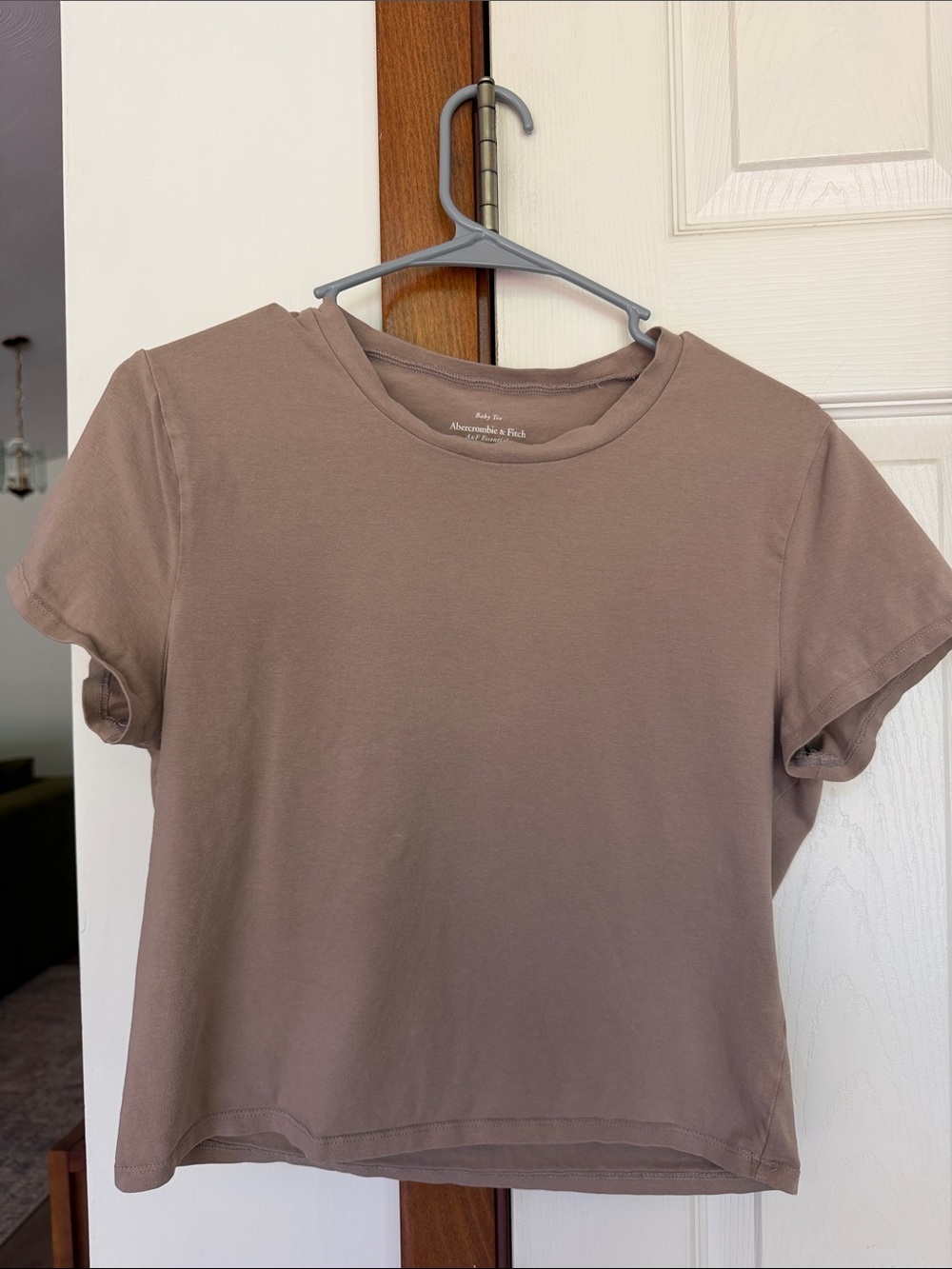 Abercrombie & Fitch Taupe Short Sleeve Cropped Baby Tee